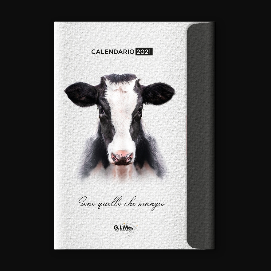 Direct Mailing Natale GIMa