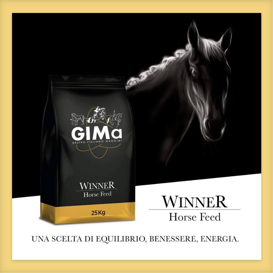 Branding e packaging linea Winner – GIMa